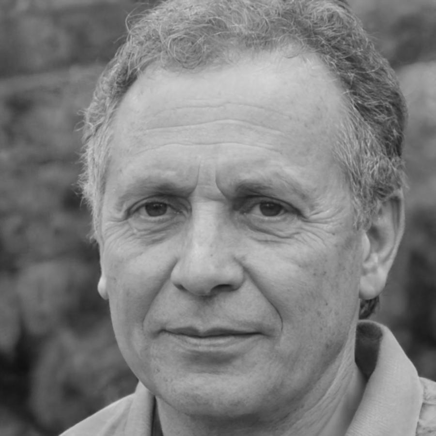 Porträt von Branimir Pavlović